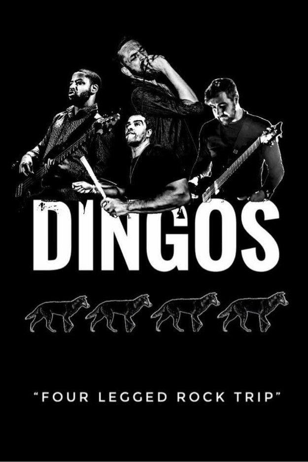 dingos