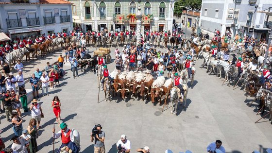 homenagem_ao_campino_e_desfile___is_3774_min_1_2500_2500